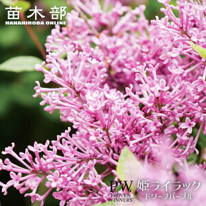 PCbN yh[tp[vz 3.5|bgc iPW) o蒆