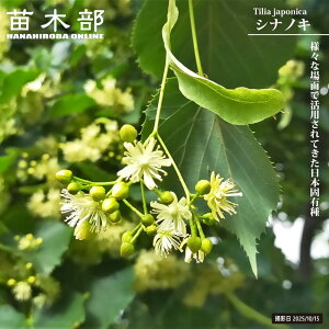 VimL 3.5|bgc y̖؃V[Yz