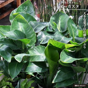 Xg`AiXg`Aj yI[KX^z 6A