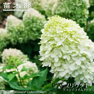 mEcM yOfC`[NigCjz PVP 3.5|bgciPW)