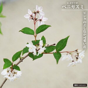 EcM qEcMiEmnijyxjKX~z 5A