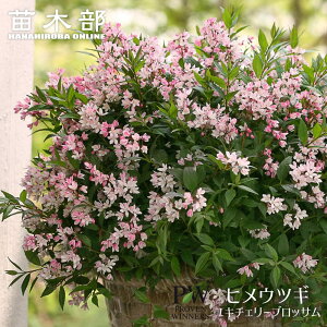 qEcM yL`F[ubTz 3.5|bgciPW) o蒆