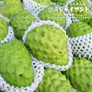 Ae ypWCAgz ږ 3-4|bgc Ami