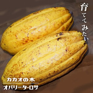 JJI gj^I yIo[^ETz  3|bgc