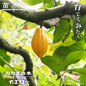 JJI gj^I yCG[z  3|bgc