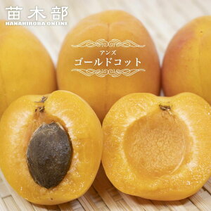 yS[hRbgz m 1Nږؕc c