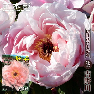 ygiVmKjz isNFj O 2N 6XbgA