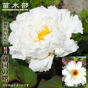 y䍑̏i~NjmAP{mjz O 2N 6XbgA