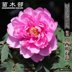 y֐Ίz isNFj O 2N 6XbgA