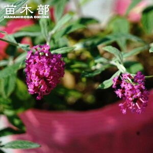 킢ubhA ygPz 5|bgciPW) o^iEio^