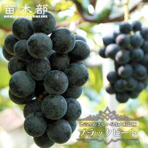 yubNr[gz Ԃǂ 1Nږؕc EBXt[ y\̔z12`N1ח\