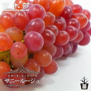yTj[[Wz Ԃǂ 1Nږؕc EBXt[ y\̔z12`N1ח\