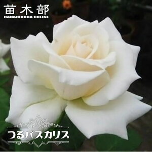 lG炫o ypXJz 2Nc 6|bg