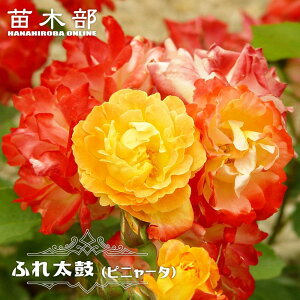 �l�G�炫��o�� �y�ӂꑾ�� �i�s�j���[�^�j�z 2�N����c