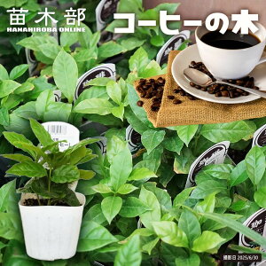 R[q[̖ 3|bgc ꌧY y\̔z4{ח\