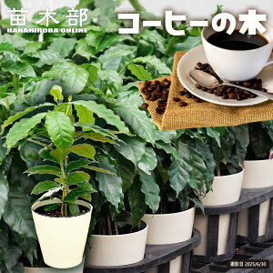 R[q[̖ 5|bgc y\̔z4{ח\