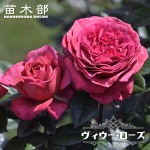 �l�G�炫�����o���c �y���B�E�[���[�Y�z 2�N����c