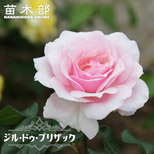 �l�G�炫�����o���c �y�W���h�D�u���U�b�N�z 2�N����c �o�^�i��E�i��o�^