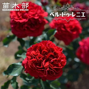 �l�G�炫�����o���c �y�x���E�h�D�E���j�G�z 2�N����c �o�^�i��E�i��o�^