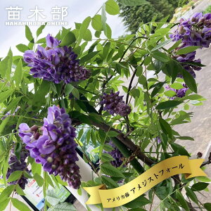 AJtW yAWXgtH[z 4|bgc