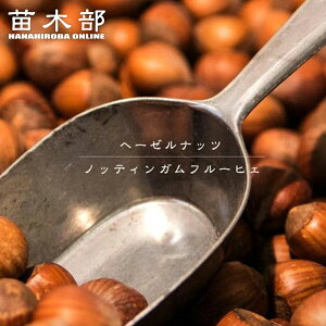 ymbeBKt[qFz w[[ibc 2N}ؕc OXbg