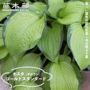 yS[hX^_[hz M{EV zX^ 3|bgc y\̔z4`5ח\