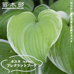 ytOgu[PzM{EV zX^ 3|bgc y\̔z4`5ח\