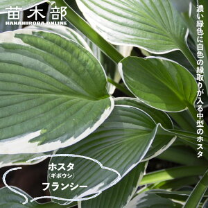 ytV[z M{EV zX^ 3|bgc y\̔z4`5ח\