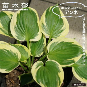 yAlz M{EV zX^ 3|bgc y\̔z4`5ח\