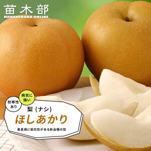  c yقz 3Nږؕc o^iEio^ y\̔z11{ח\