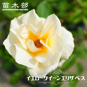 �l�G�炫�o���c �y�C�G���[�N�C�[���G���U�x�X�z 2�N����c