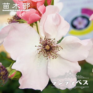 lG炫oc yfeBxXz 2Nc 6|bg