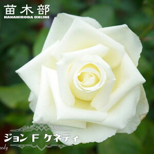 �l�G�炫�o���c �y�W���� F �P�l�f�B�z �V�c 3.5���|�b�g �ږؕc