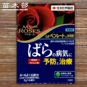 }C[Y GFx[g ΂̕aCɗ\hƎ ZFw| Eۍ aEǂ񂱕a