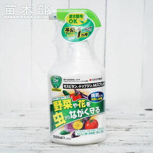XsEgbvWMXv[ 1000ml EEۍ yށzy_zy܁z