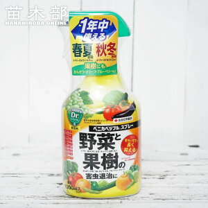 xjJxWtXv[ 1000ml E yށzy_zy܁z