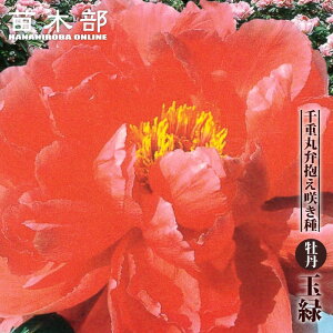 yOz igFj ʗ i܂݂ǂj 2N 6XbgA