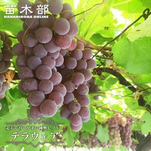 yfEFAz Ԃǂ 1N}ؕc y\̔z11`12ח\