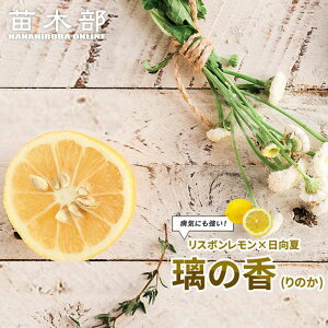 ̖ y̍ (̂)z 2Nږ XbgA ̔ o^iEio^