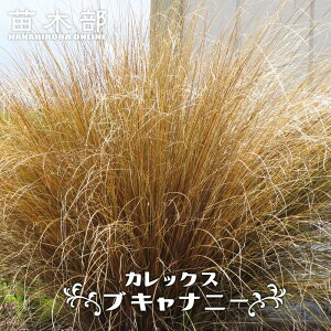 JbNX yuLij[z 3|bgc y\̔z4`5ח\