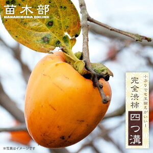 `̕c ylaz Sa` 1Nږؕc