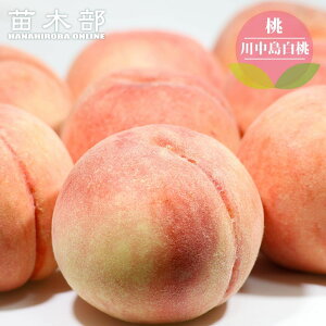  c y쒆z  3Nږؕc 8|bg y\̔z11{ח\