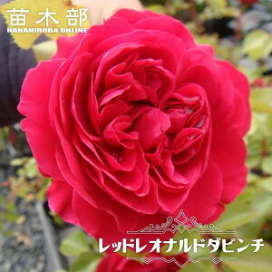 yocz bhIih_r` c ؗo yoz lG炫 ԐF  o c KN