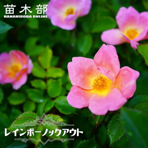 lG炫oc yC{[mbNAEgz 2Nc 6|bg