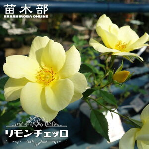 lG炫ocy`Fbz 2Nc o^iEio^