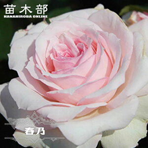 yVX[p[Z[Ώۏi lG炫oc ytT (͂)z 2Nc