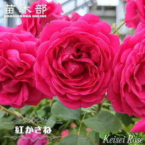 yVX[p[Z[Ώۏi lG炫oc ygˁz 2Nc o^iEio^