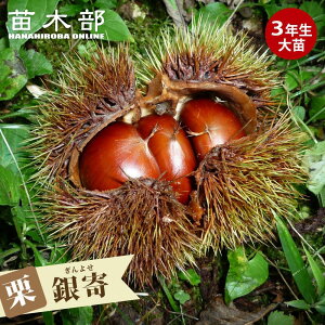 I c yz 3Nږؑc 1mc yYnř 1.0mcz