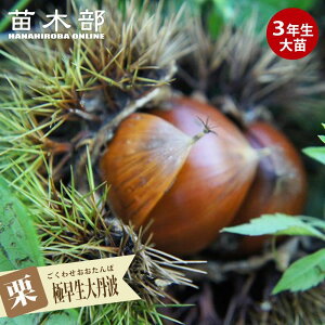 I c yɑOgz 3Nږؑc 1mc yYnř 1.0mcz