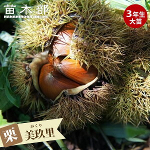 I c y藢z 3Nږؑc 1mc yYnř 1.0mcz o^iEio^ y\̔z11{ח\